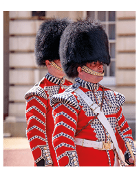 W0YA05 Ceremony of Changing the Guard on the forecourt of Buckingham Palace, London, United Kingdom