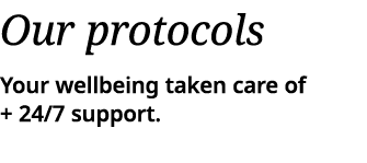 Our protocols Your wellbeing taken care of + 24 7 support  