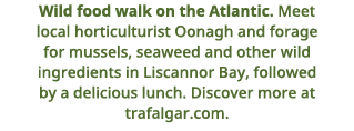 Wild food walk on the Atlantic    Meet local horticulturist Oonagh and forage for mussels, seaweed and other wild ing   