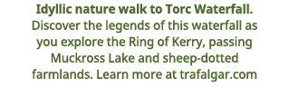  Idyllic nature walk to Torc Waterfall   Discover the legends of this waterfall as you explore the Ring of Kerry, pas   