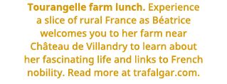 Tourangelle farm lunch    Experience a slice of rural France as Béatrice welcomes you to her farm near Château de Vil   