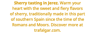 Sherry tasting in Jerez  Warm your heart with the sweet and fiery flavors of sherry, traditionally made in this part    