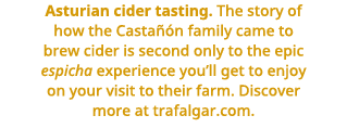 Asturian cider tasting   The story of how the Castañón family came to brew cider is second only to the epic   espicha   