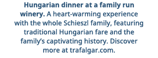 Hungarian dinner at a family run winery  A heart-warming experience with the whole Schieszl family, featuring traditi   