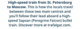 High-speed train from St  Petersburg to Moscow  This is how the locals travel between these two main centres and you    