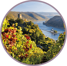 Burg Gutenfels, vineyards and Burg Pfalzgrafenstein 