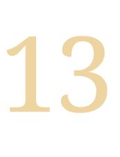 13