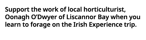 Support the work of local horticulturist, Oonagh O Dwyer of Liscannor Bay when you learn to forage on the Irish Exper   